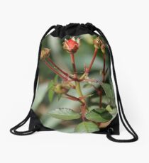 Rose Buds Drawstring Bag