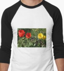 Tulip Double Date Men's Baseball ¾ T-Shirt