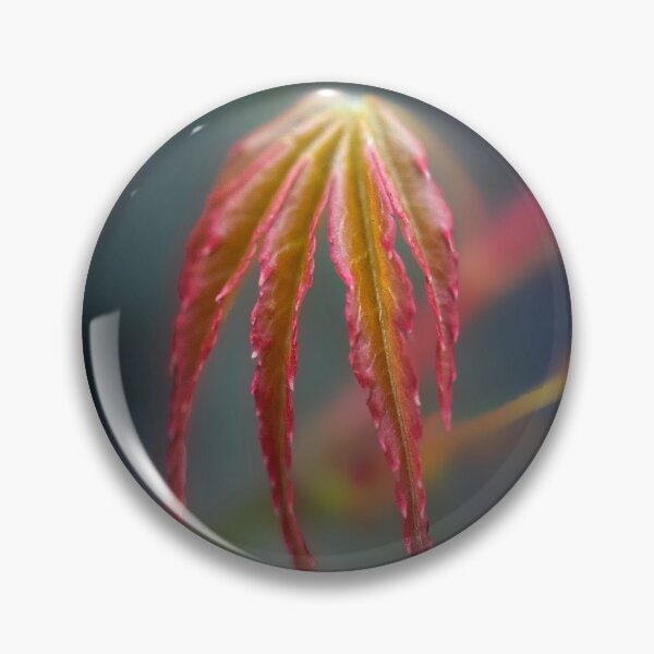 Item preview, Springtime Acer Leaf designed and sold by Alisonchambers2.