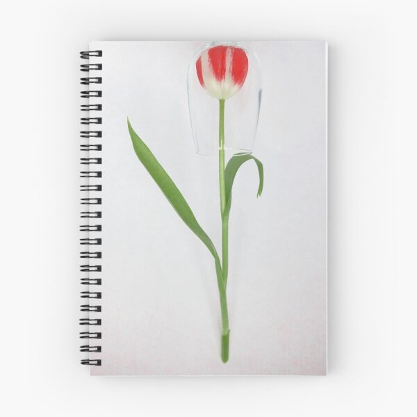 Artikelvorschau, Tulpe unter Schutzglas entworfen und verkauft von Ancuta Ianc.