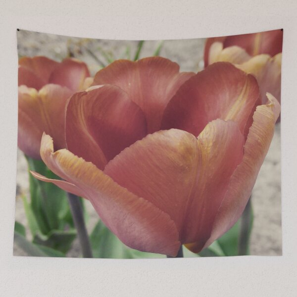 Item preview, Dark moderate red tulip designed and sold by fowons.