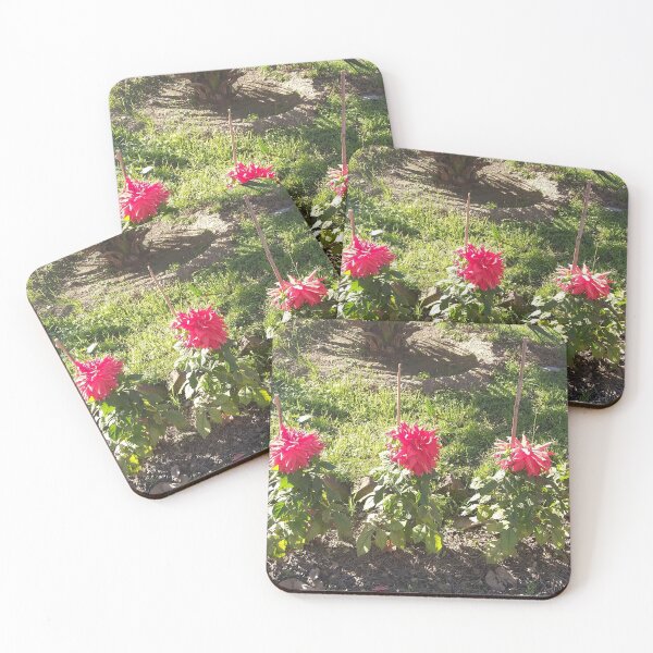 Item preview, Chrysanthemum designed and sold by redeemer77.