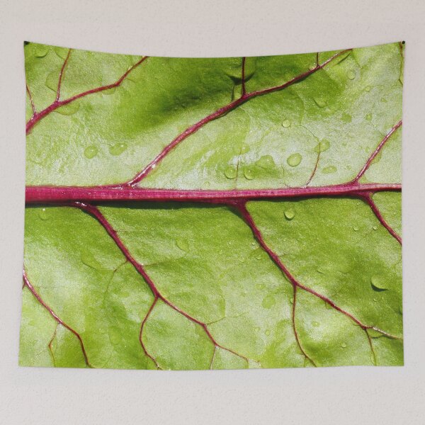 Item preview, Beetroot Leaf Background designed and sold by NavorolArt.
