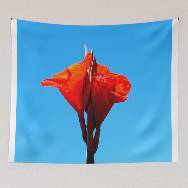 Item preview, Canna Lily Floral Photography designed and sold by Trisha Banlasan.