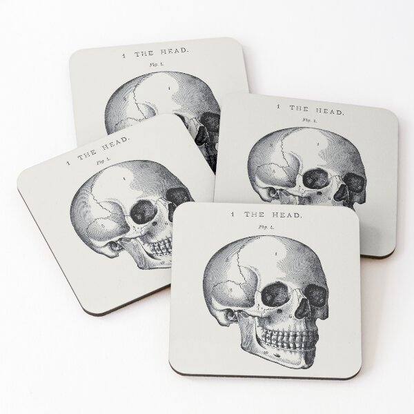 Item preview, Skull anatomy, head bones designed and sold by LeAllureVintage.