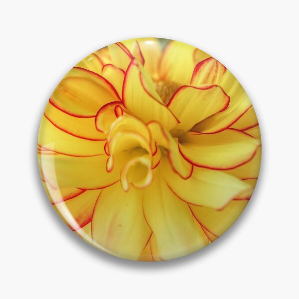 Item preview, Yellow Dahlia designed and sold by Carolyn's Captures - Original Photohgraphy.