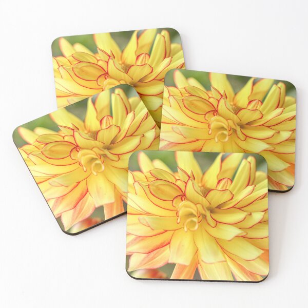 Item preview, Yellow Dahlia designed and sold by Carolyn's Captures - Original Photohgraphy.