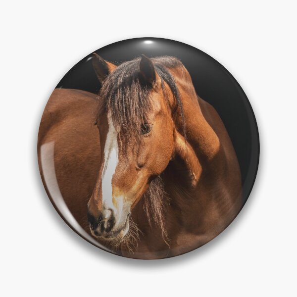Item preview, Cute and friendly horse looking attentively. designed and sold by AylaHarbich.