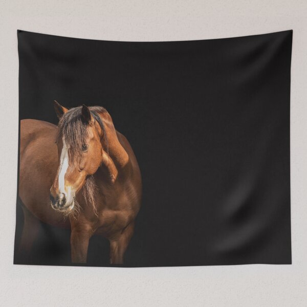 Item preview, Cute and friendly horse looking attentively. designed and sold by AylaHarbich.
