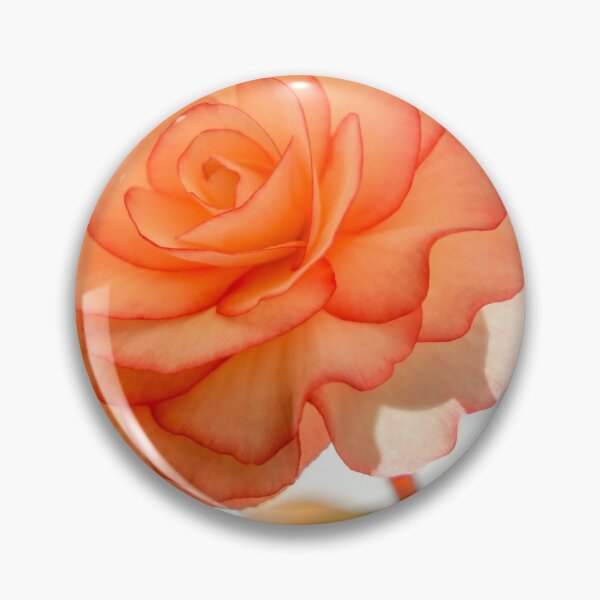 Item preview, Orange Begonia designed and sold by Carolyn's Captures - Original Photohgraphy.