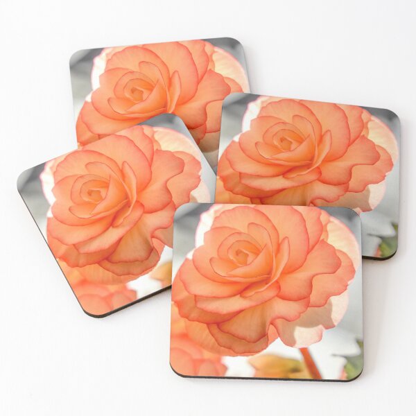 Item preview, Orange Begonia designed and sold by Carolyn's Captures - Original Photohgraphy.
