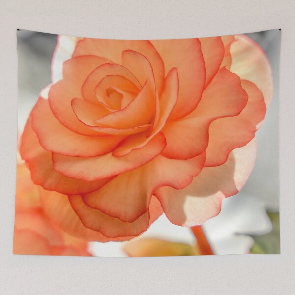 Item preview, Orange Begonia designed and sold by Carolyn's Captures - Original Photohgraphy.