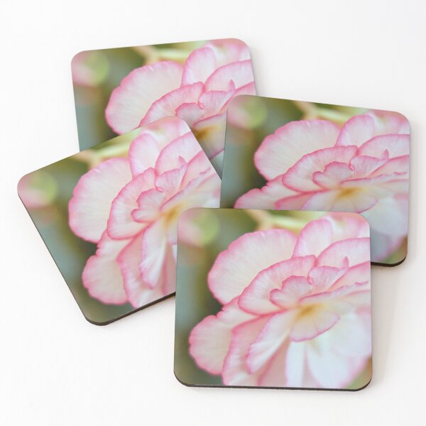 Item preview, Pink and White Begonia designed and sold by Carolyn's Captures - Original Photohgraphy.