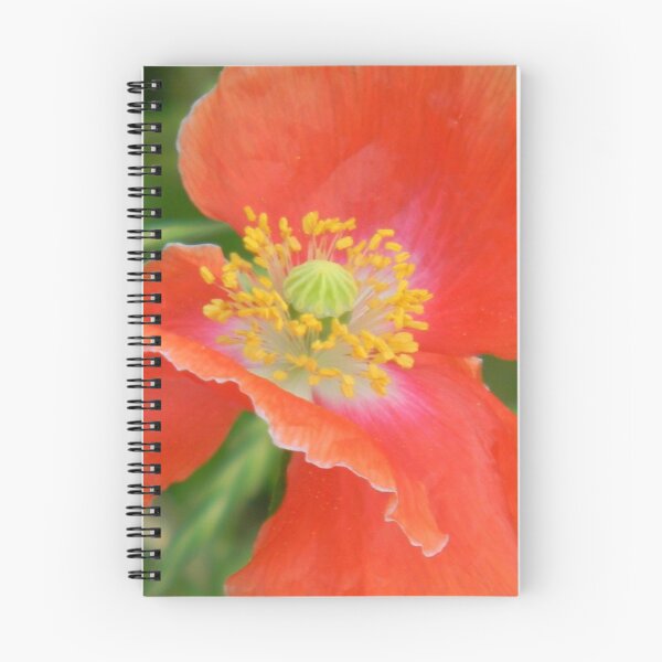 Item preview, Surprise Poppy designed and sold by Navigator.