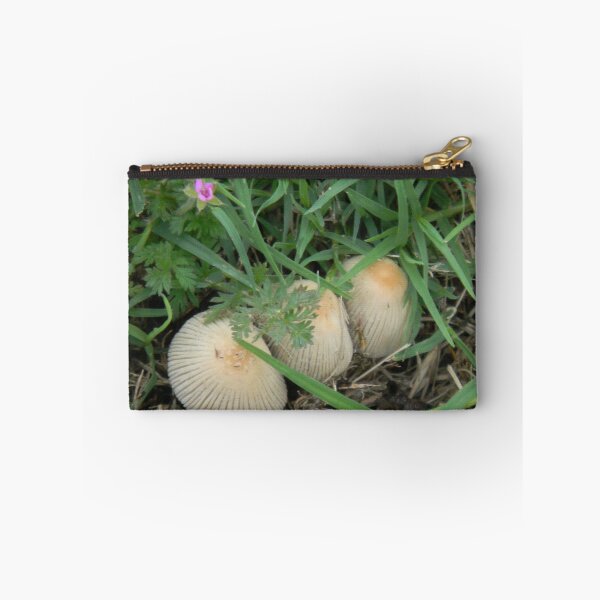Item preview, Sidewalk Mushrooms designed and sold by Navigator.