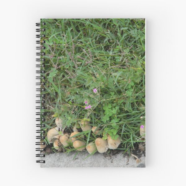 Item preview, Sidewalk Mushroom "Village" designed and sold by Navigator.
