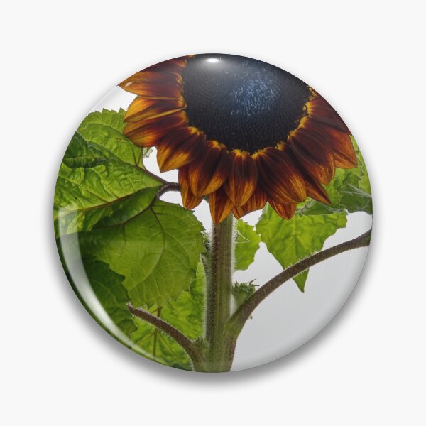 Item preview, Sunflower designed and sold by Dreamscape Eclectic .
