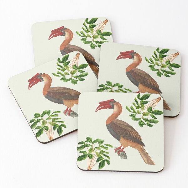 Artikelvorschau, Hornbill Bird, Calao. Tropischer Vogel entworfen und verkauft von LeAllureVintage.
