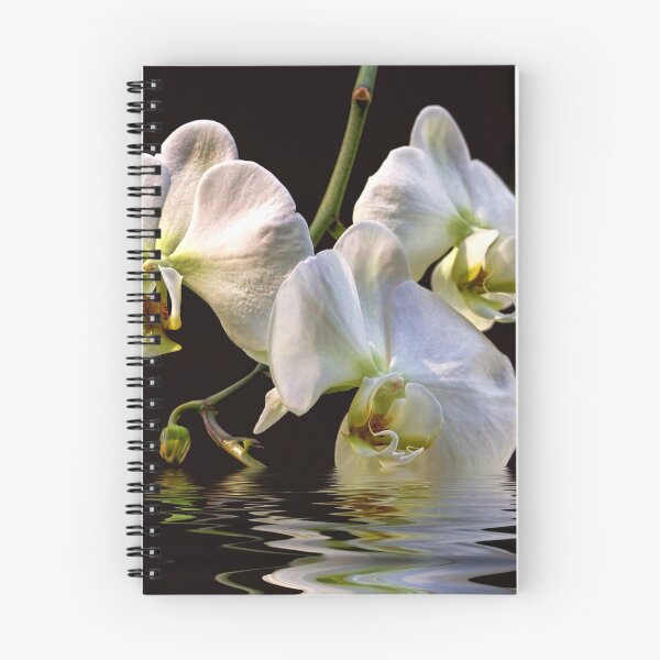 Item preview, White Orchids designed and sold by Peggy Collins.
