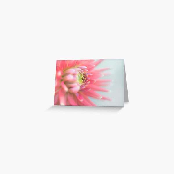 Araluen Fire Dahlia Greeting Card