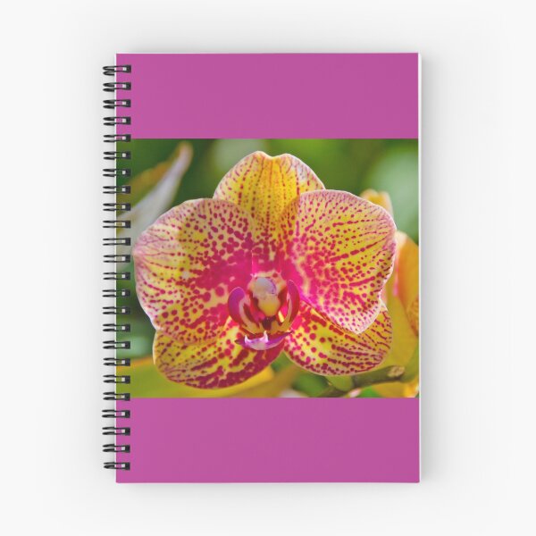 Item preview, Pink Yellow Orchid designed and sold by AnkhaDesh.