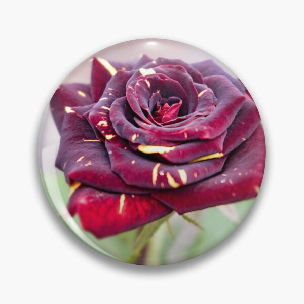 Item preview, Memphis Magic Rose designed and sold by Carolyn's Captures - Original Photohgraphy.