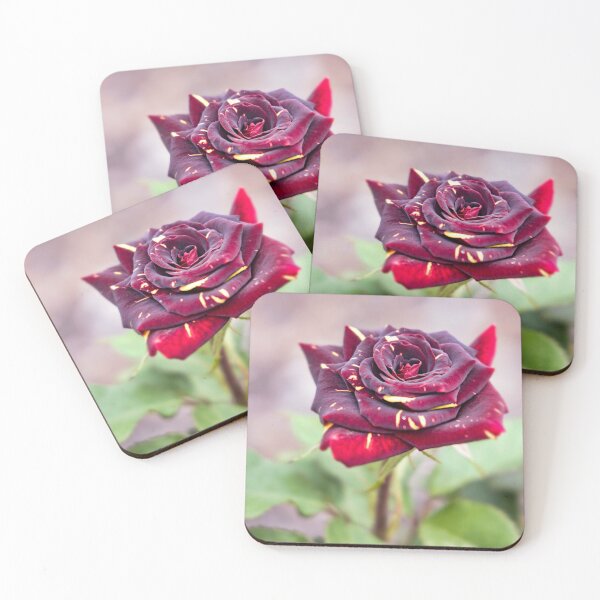 Artikelvorschau, Memphis Magic Rose entworfen und verkauft von Carolyn's Captures - Original Photohgraphy.