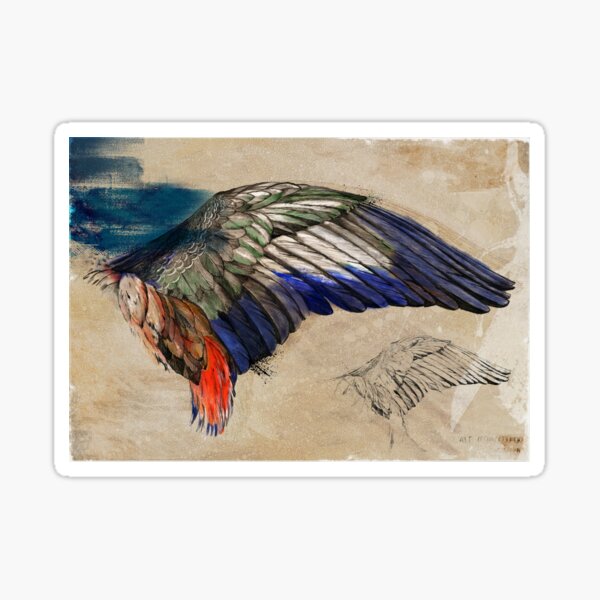 L'Aile de Durer ( Durer's wing) Sticker