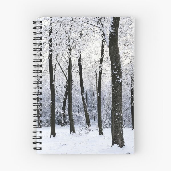 Item preview, English woodland covered in snow designed and sold by panoverse.