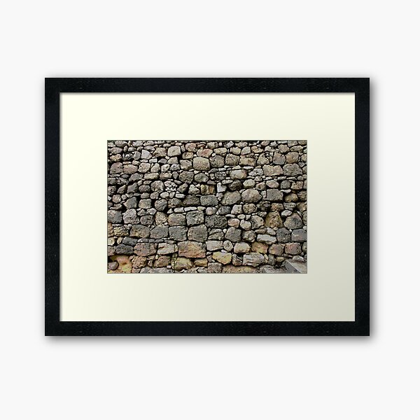 Framed Print