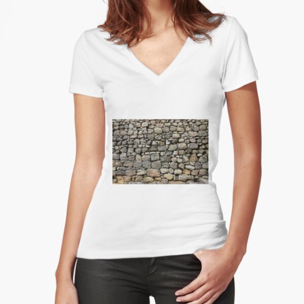 Fitted V-Neck T-Shirt