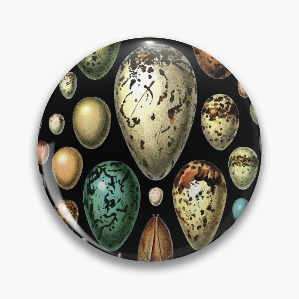 Item preview, Vintage egg collection chart designed and sold by monsterplanet.