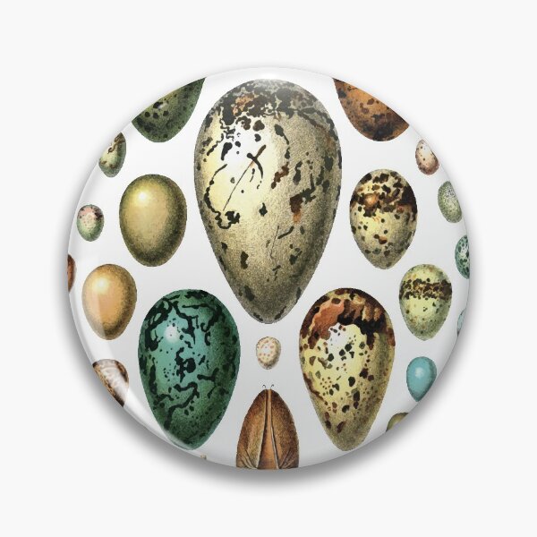 Item preview, Vintage egg collection chart (white) designed and sold by monsterplanet.