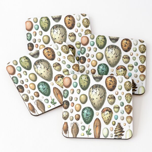 Item preview, Vintage egg collection chart (white) designed and sold by monsterplanet.
