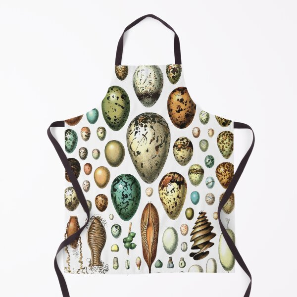 Item preview, Vintage egg collection chart (white) designed and sold by monsterplanet.