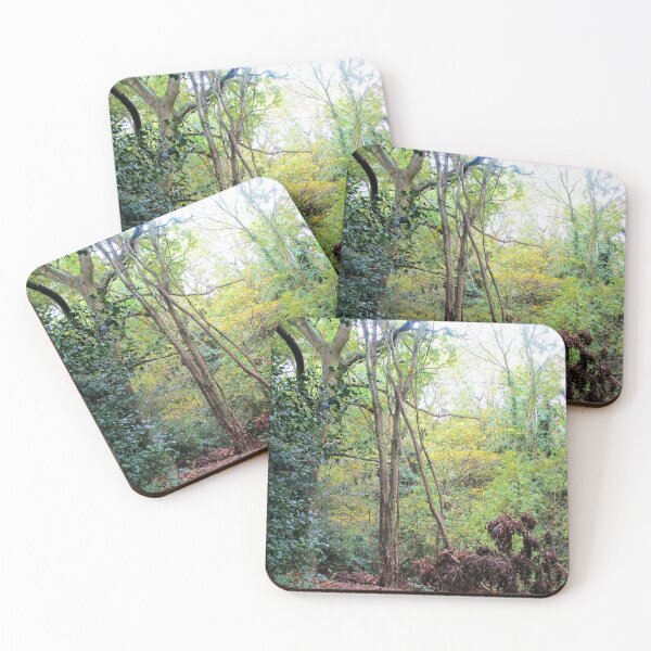 Item preview, En el bosque / la naturaleza se hace cargo designed and sold by realdorypanda.
