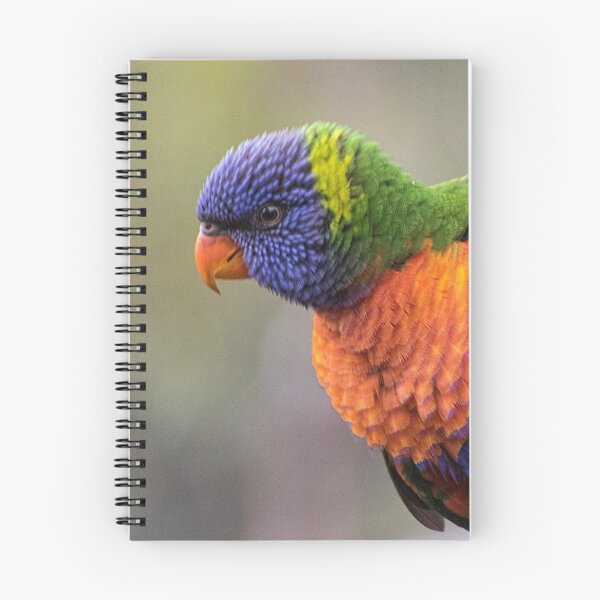 Item preview, Rosella Leith Park Victoria 20160218 6601  designed and sold by Fred Mitchell.