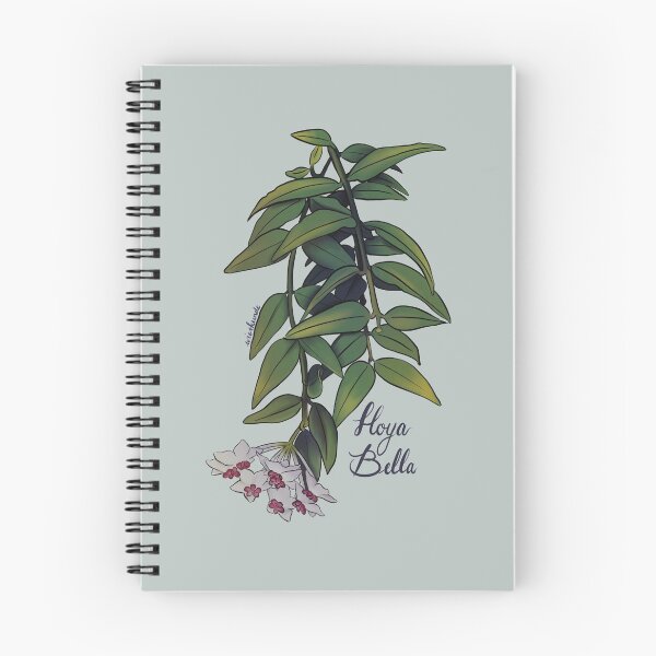 Item preview, Hoya bella in bloom designed and sold by Wieskunde.
