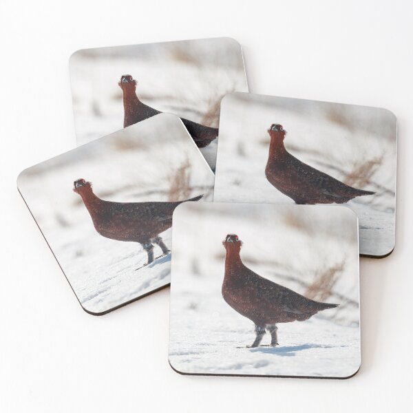 Item preview, Red grouse designed and sold by chanonry.