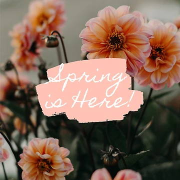 Artwork thumbnail, Hello Spring by Doucheka