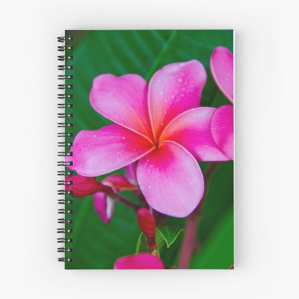 Item preview, Pink Plumeria_1071 designed and sold by AnkhaDesh.