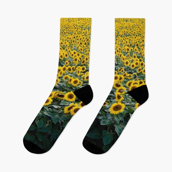 Item preview, Sunflower Field All Over Design designed and sold by Crayonjar.