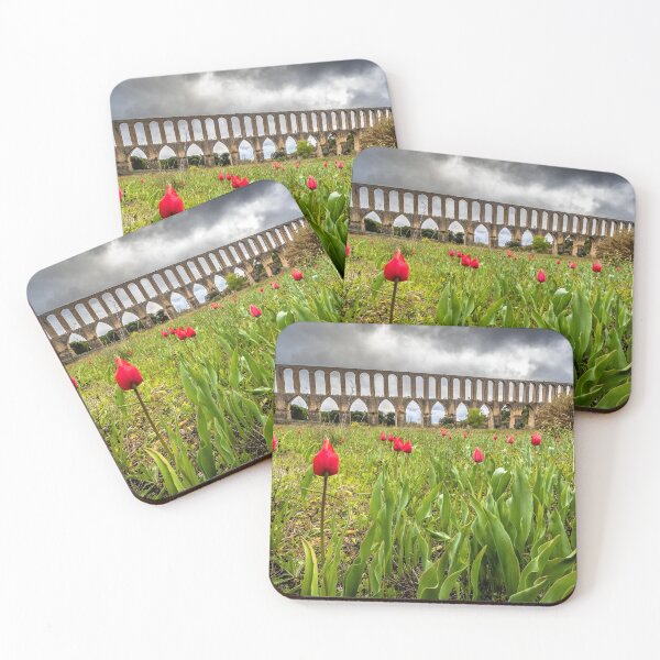 Item preview, Red Tulips - Tulipas Vermelhas, Aqueduto dos Pegoes, Tomar, Portugal designed and sold by Mario  Loureiro.