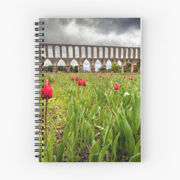 Item preview, Red Tulips - Tulipas Vermelhas, Aqueduto dos Pegoes, Tomar, Portugal designed and sold by Mario  Loureiro.