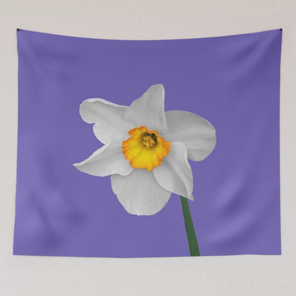 Item preview, White Daffodil  designed and sold by cherylorraine.