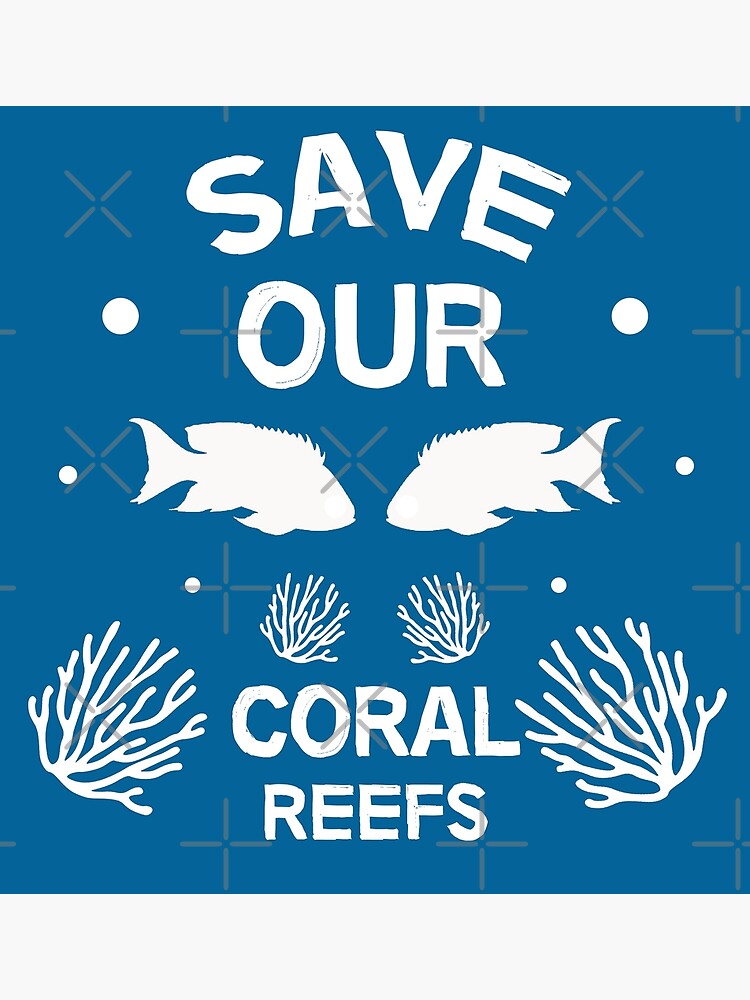 Save the Coral, Protect the Reef | Cap