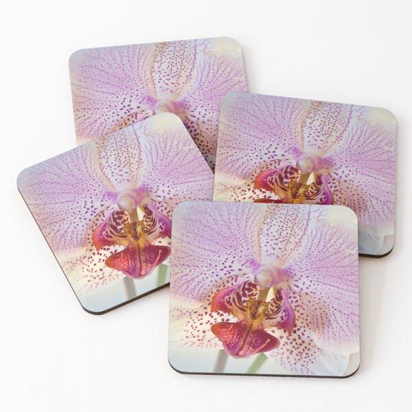 Item preview, Brightness designed and sold by Milena Ilieva.