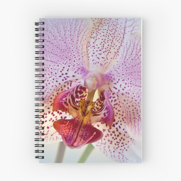 Item preview, Brightness designed and sold by Milena Ilieva.