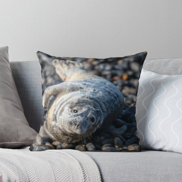 Item preview, Seal designed and sold by RobWalkley.