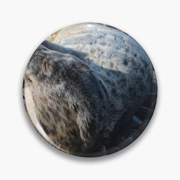 Item preview, Seal designed and sold by RobWalkley.